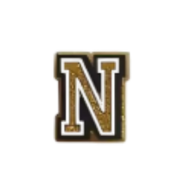 Pin's lettre N Doré