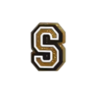 Pin's pour Clogs - Lettres Doré