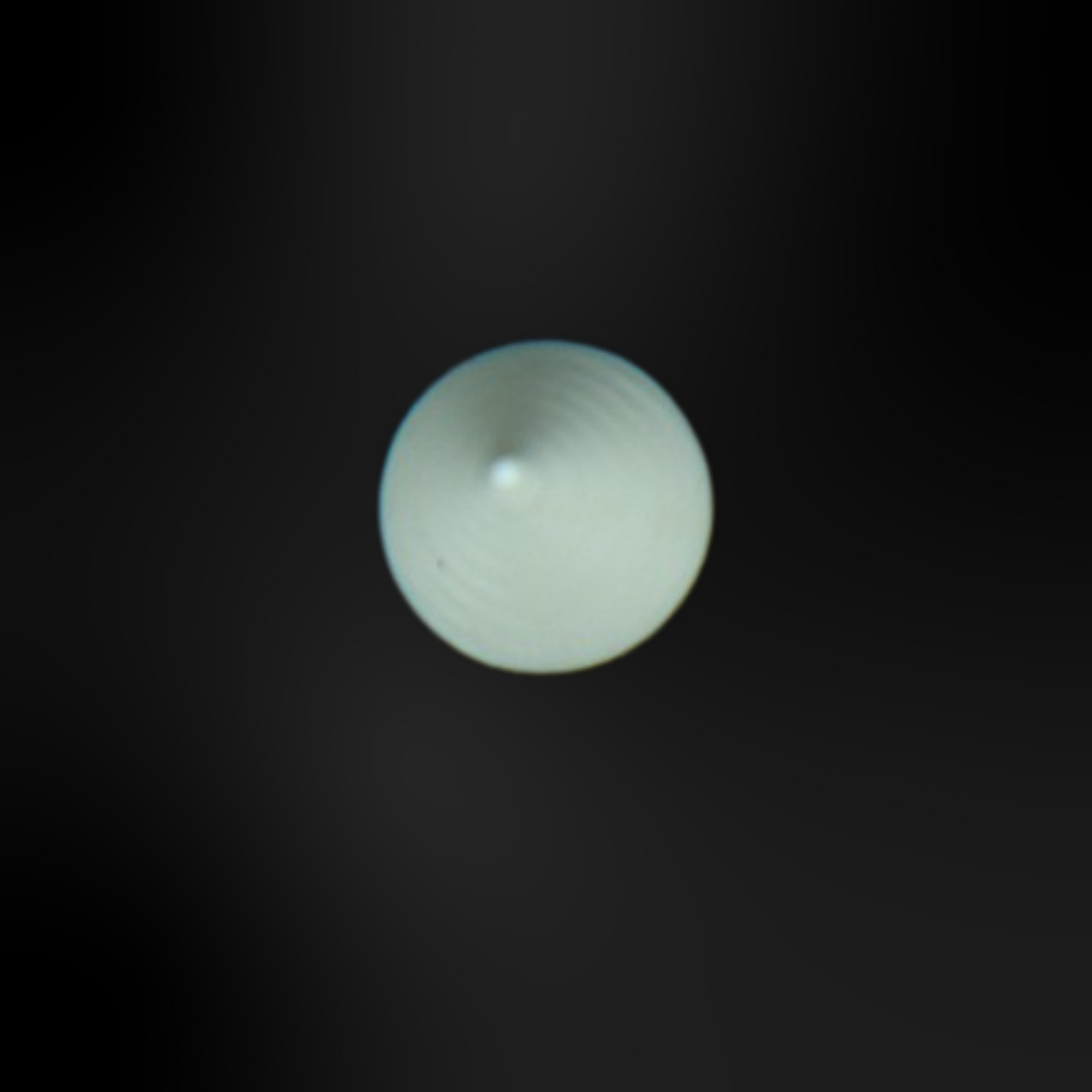 pins cone pic blanc