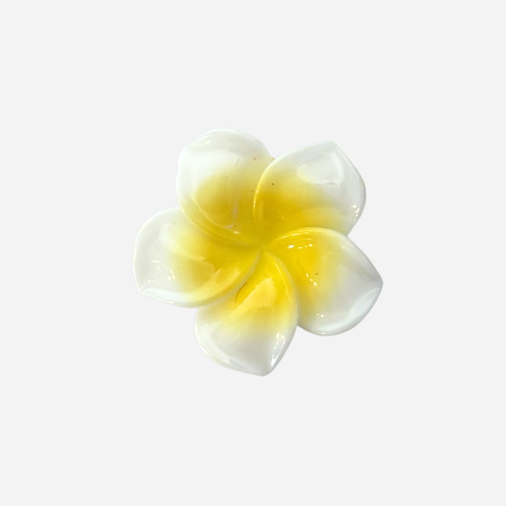 Pin's pour Clogs - Métalliques et résines
