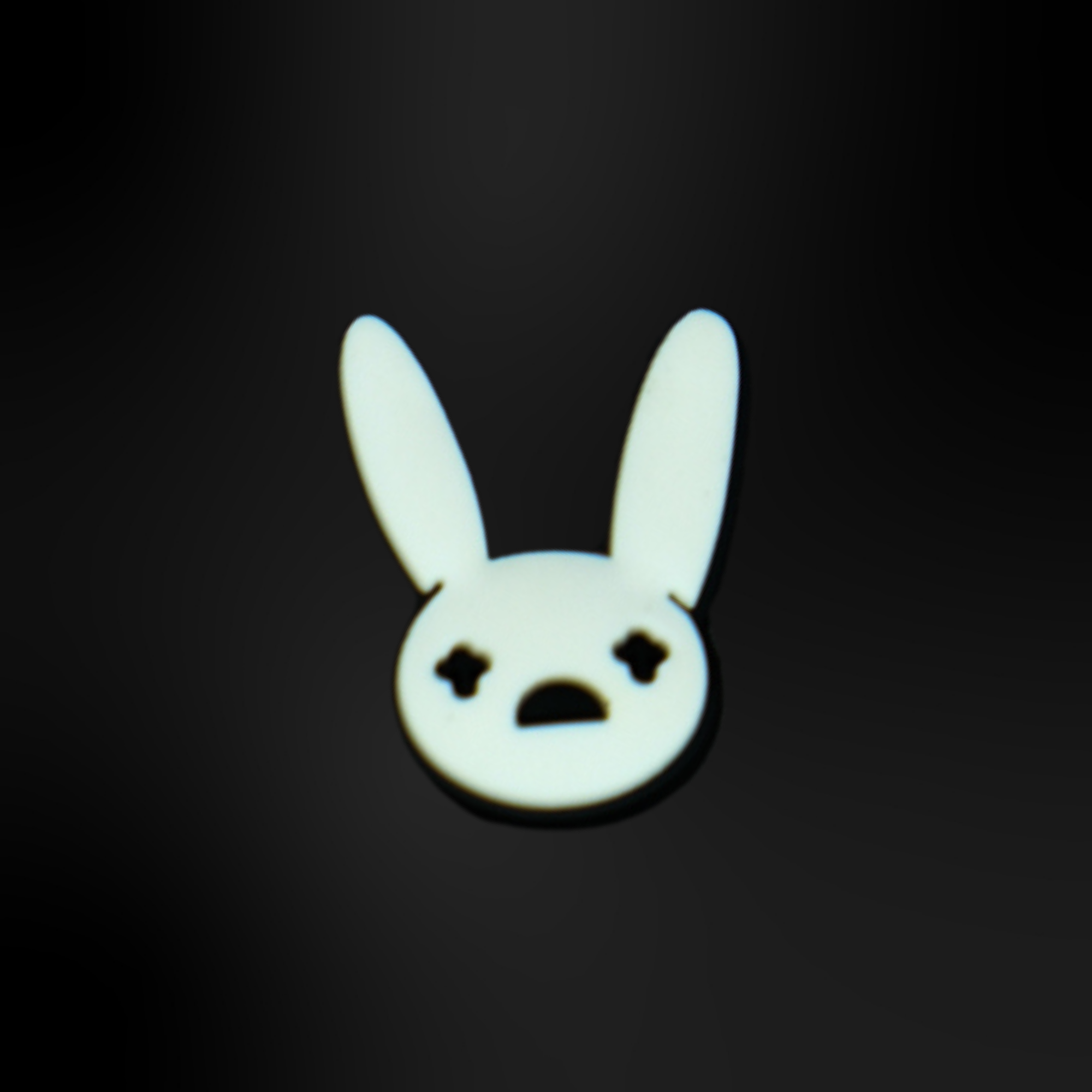 pins lapin blanc